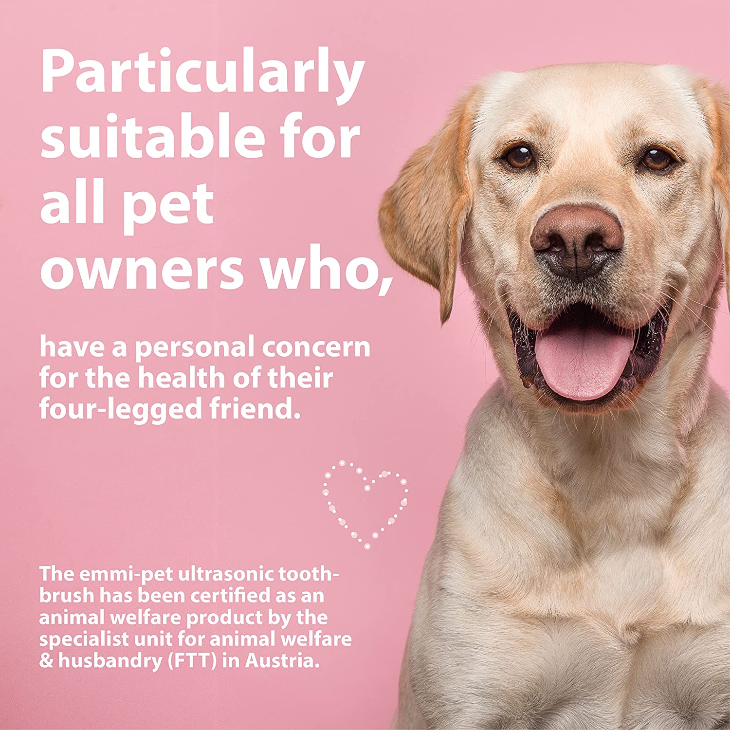 emmi-pet teeth cleaning info