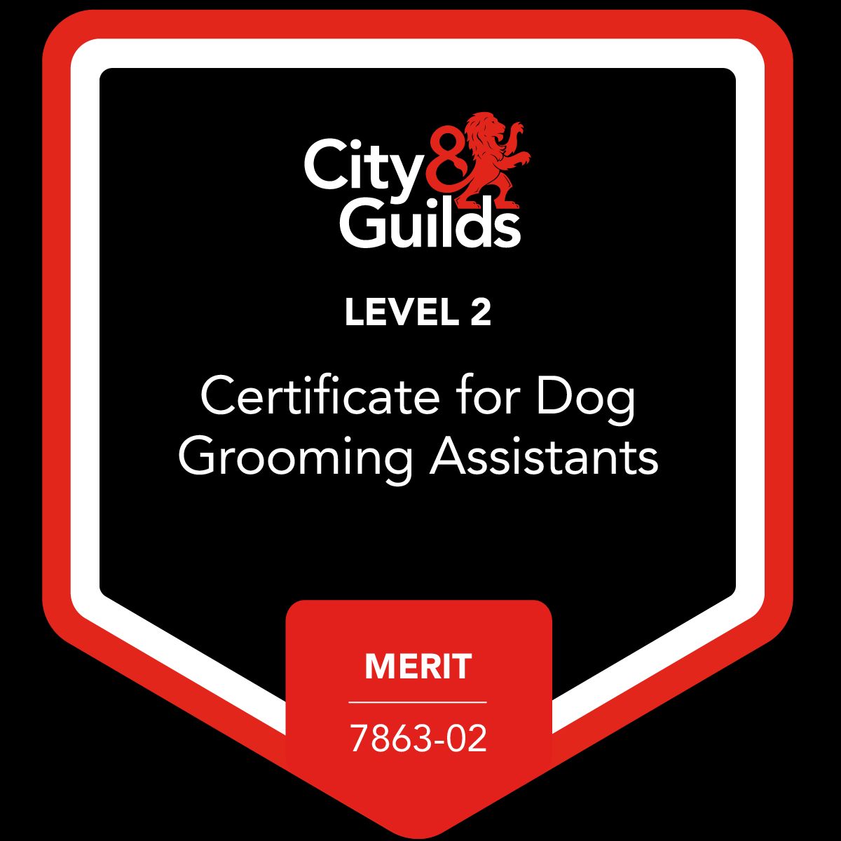 Level 2 city and guilds certificate